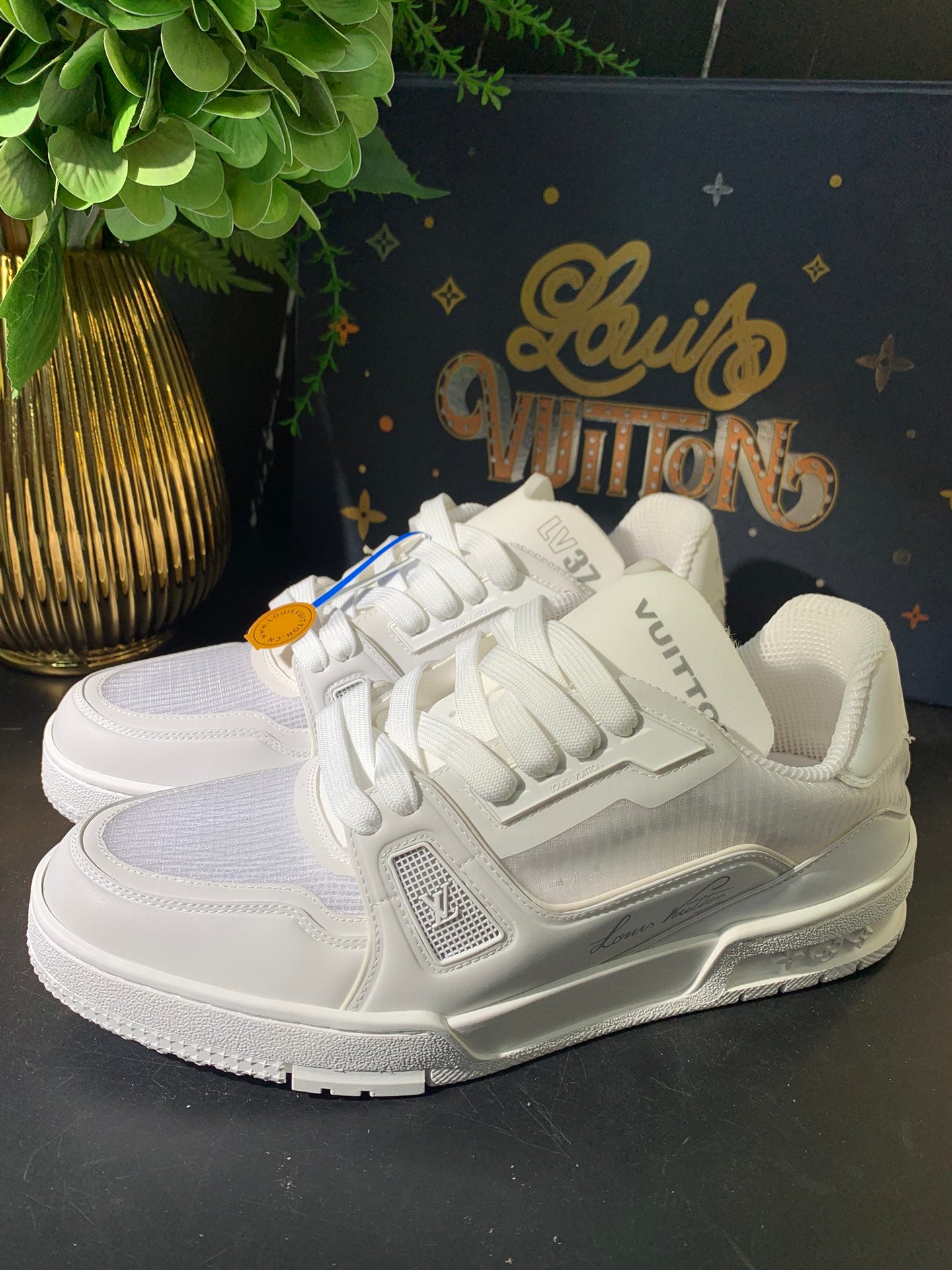 Lv Skor
