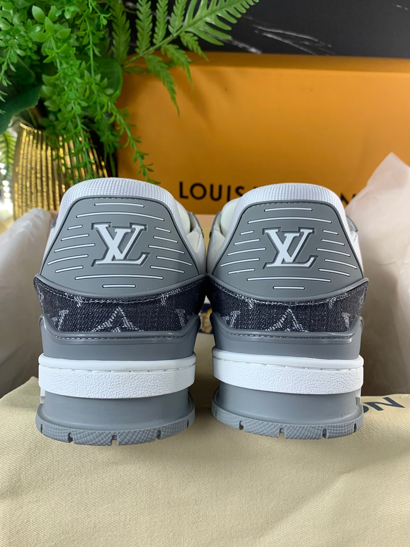 LV Skor