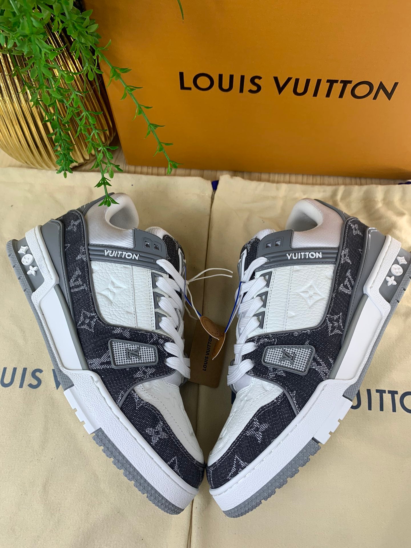 LV Skor